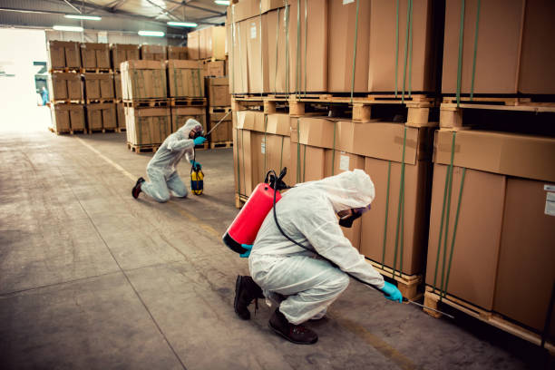 Best Affordable Pest Control Services  in Peachtree Corners, GA