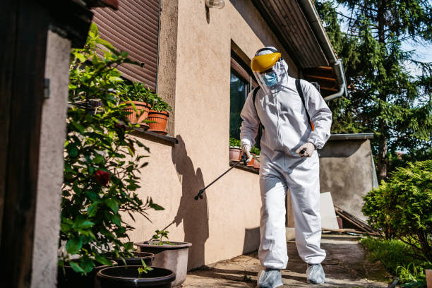 Best Emergency Pest Control  in Peachtree Corners, GA