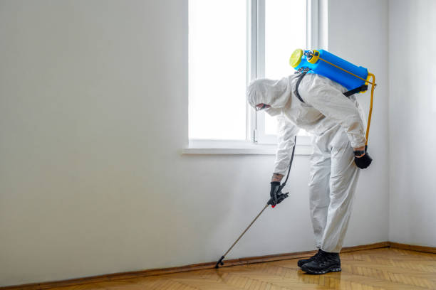 Best Pest Inspection Near Me  in Peachtree Corners, GA