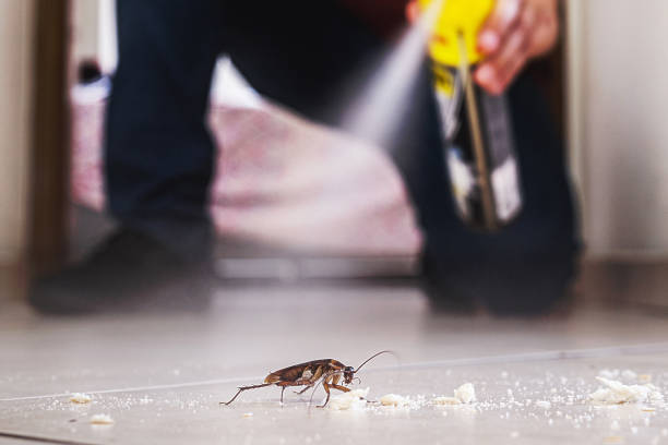 Best Bed Bug Extermination  in Peachtree Corners, GA