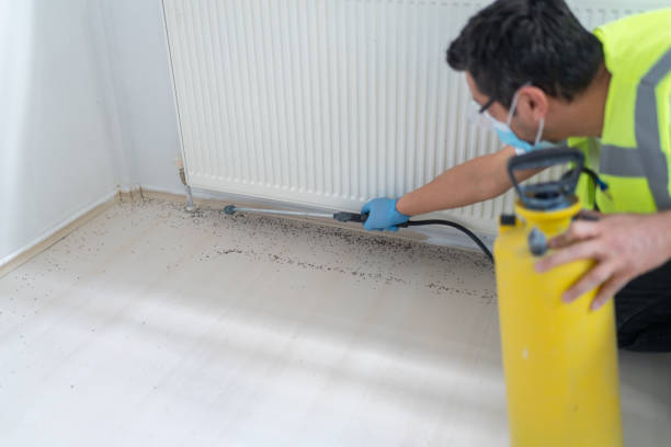 Best Insect Control  in Peachtree Corners, GA